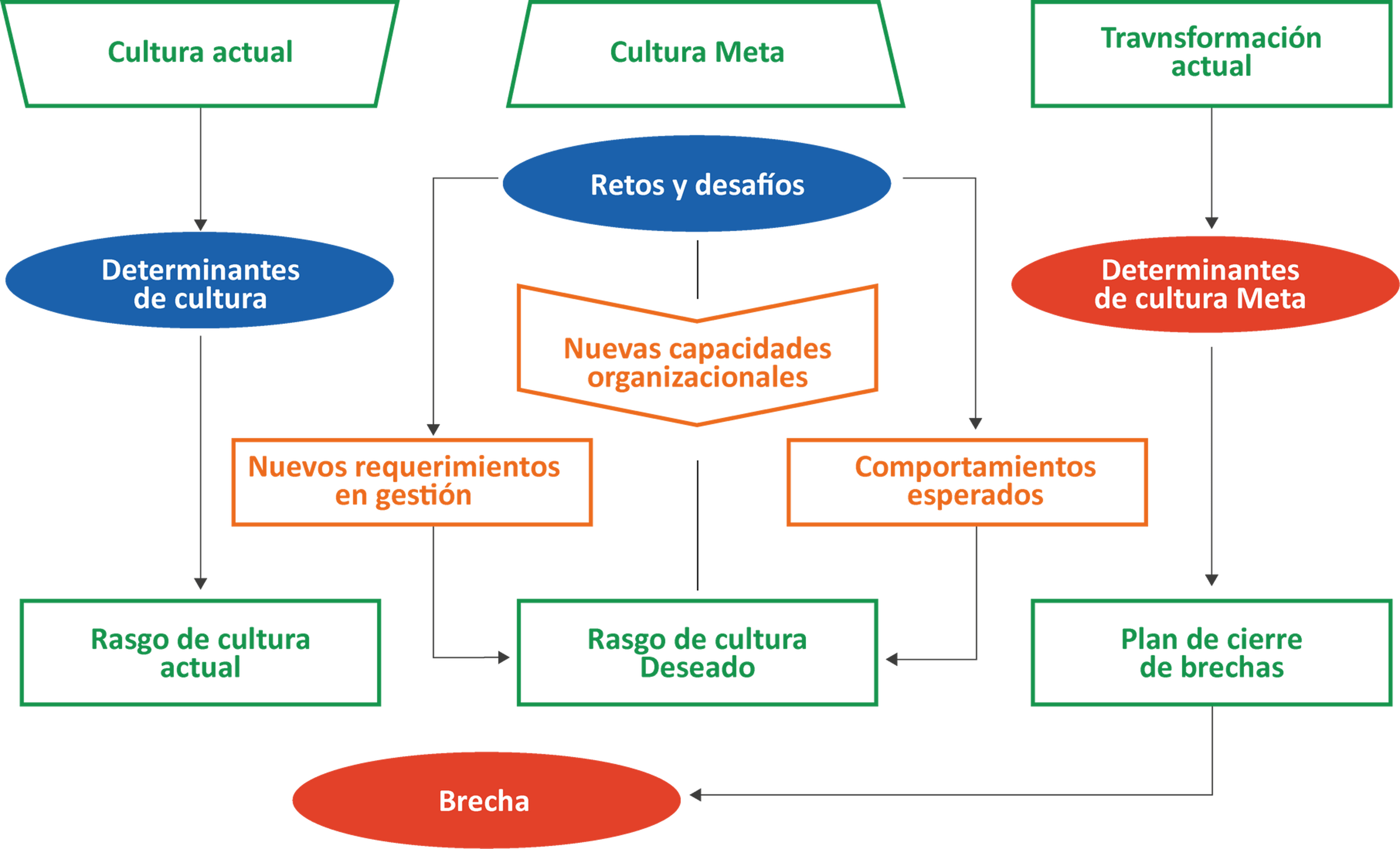 Transformación Cultural